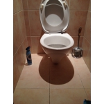 Крышка-сидение для унитаза IDO 